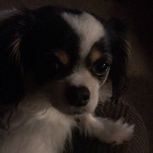 Meet your Posher, Robert